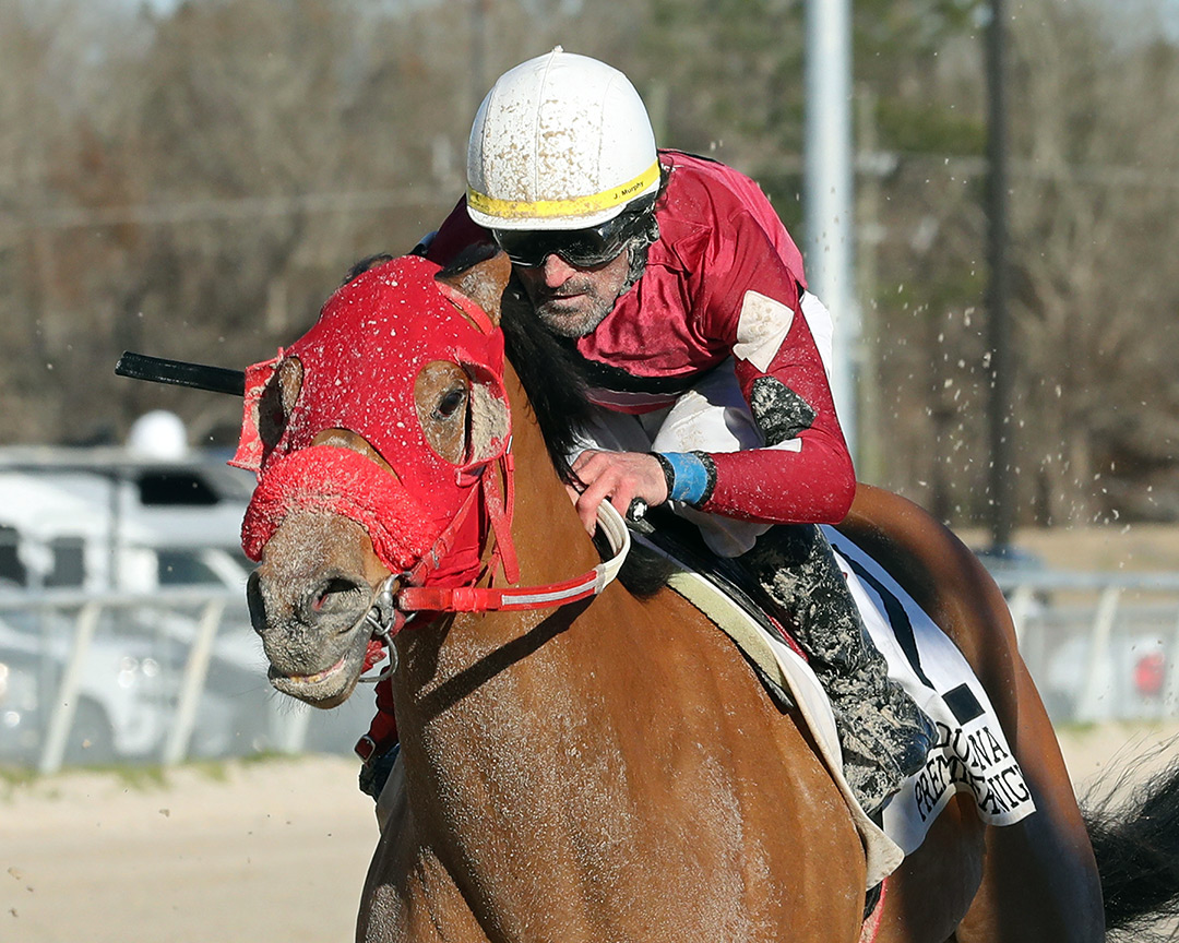 Vodka Gimlet wins the Louisiana-bred Premier Prince Stakes at Delta Downs