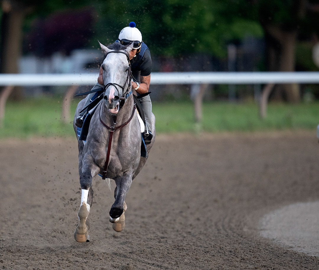 Volatile trains at Saratoga Race Course on July 20