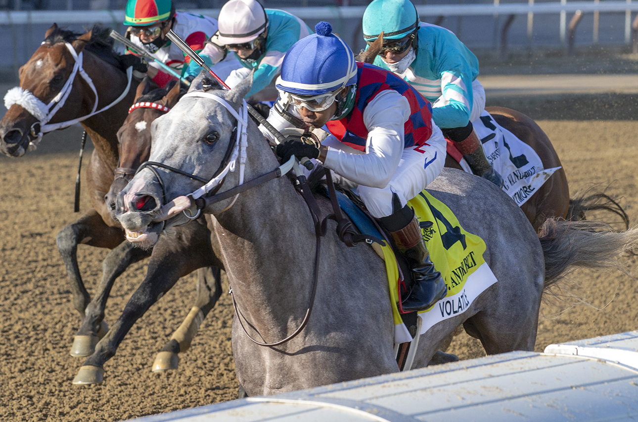 ECLIPSE sprinter male Volatile