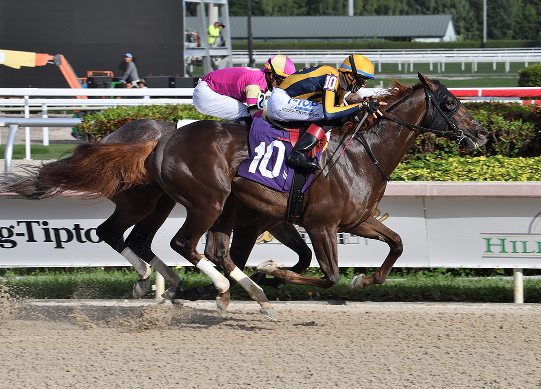 Volcanic wins a Jan. 8 maiden race at Gulfstream Park
