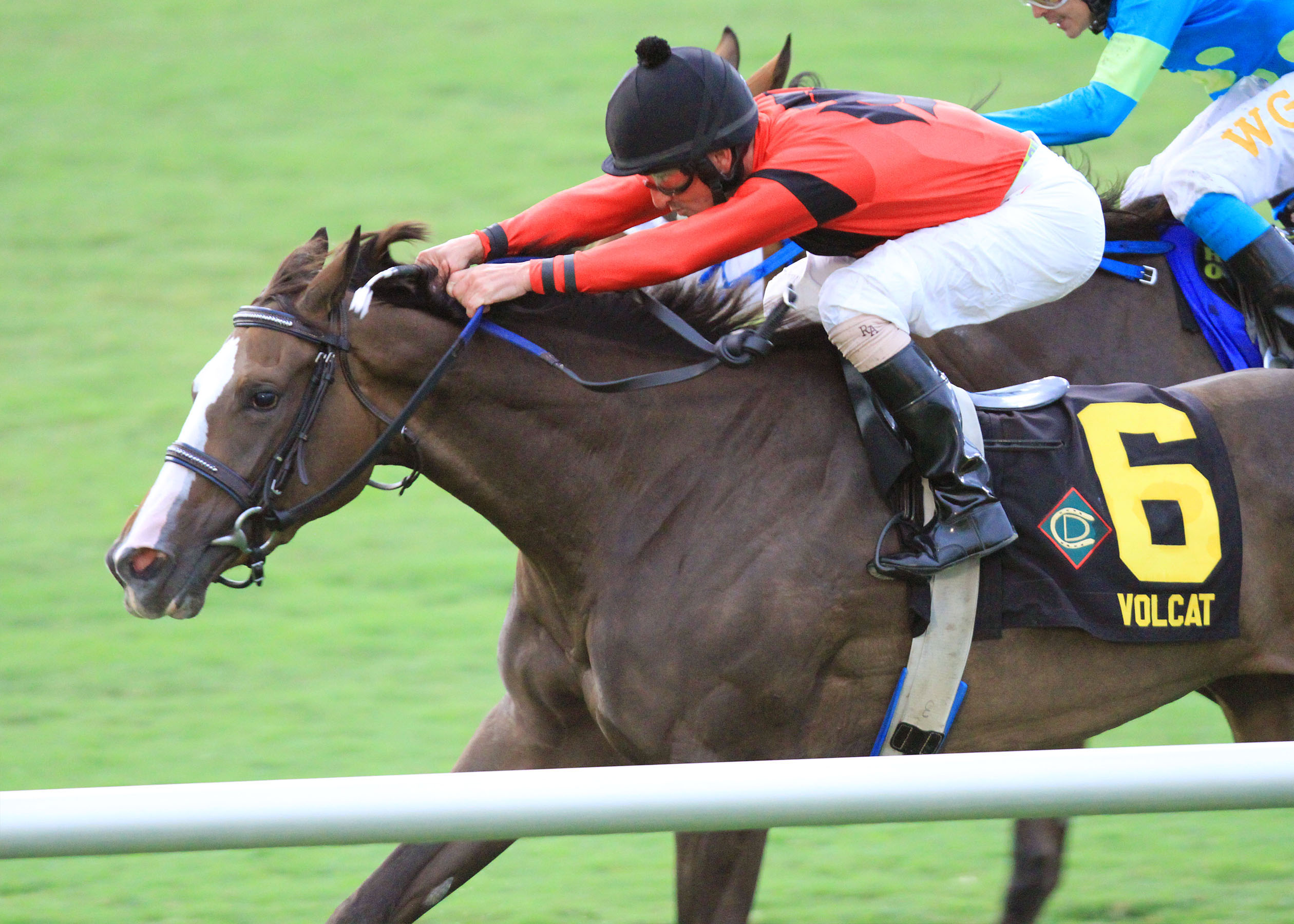 Volcat/Virginia Oaks