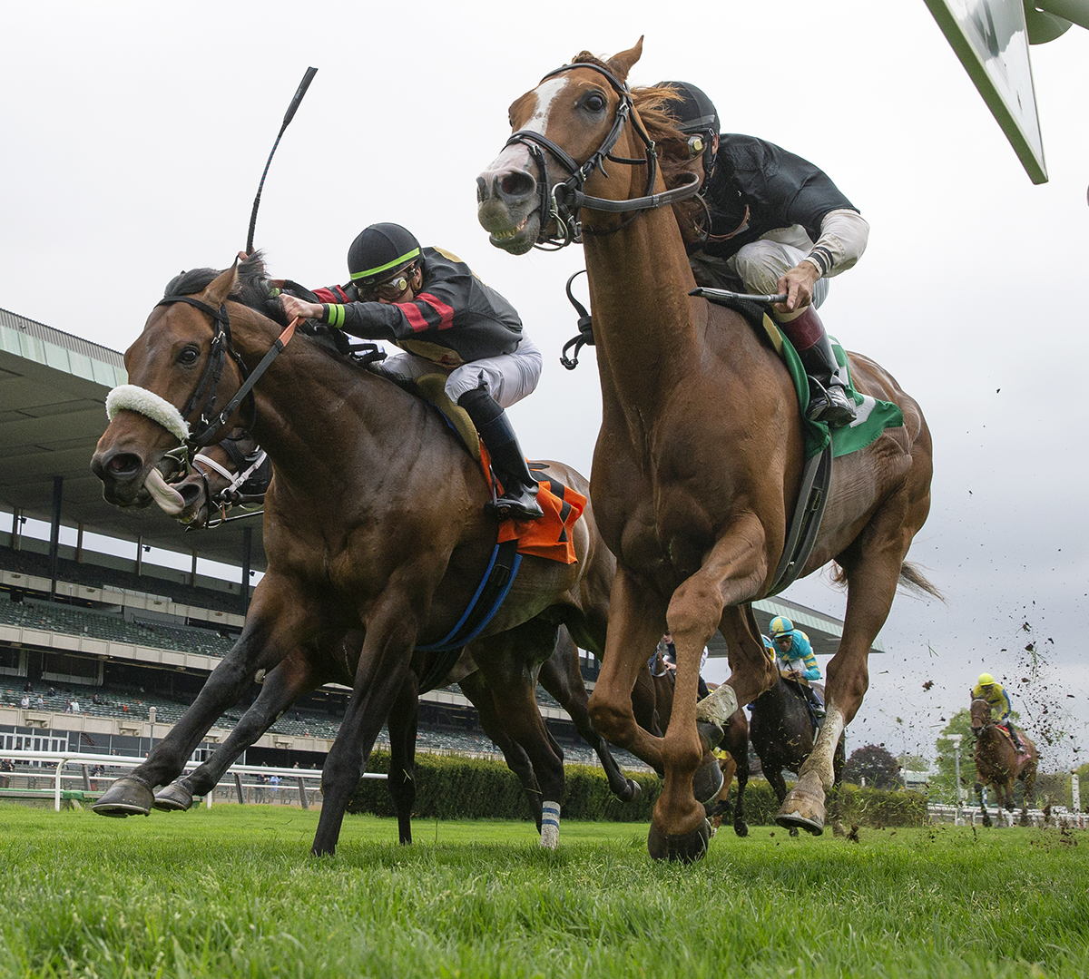 American Guru finishes second in a May 12 allowance race