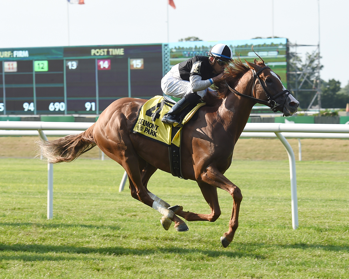 Voodoo Song wins the 2018 Forbidden Apple