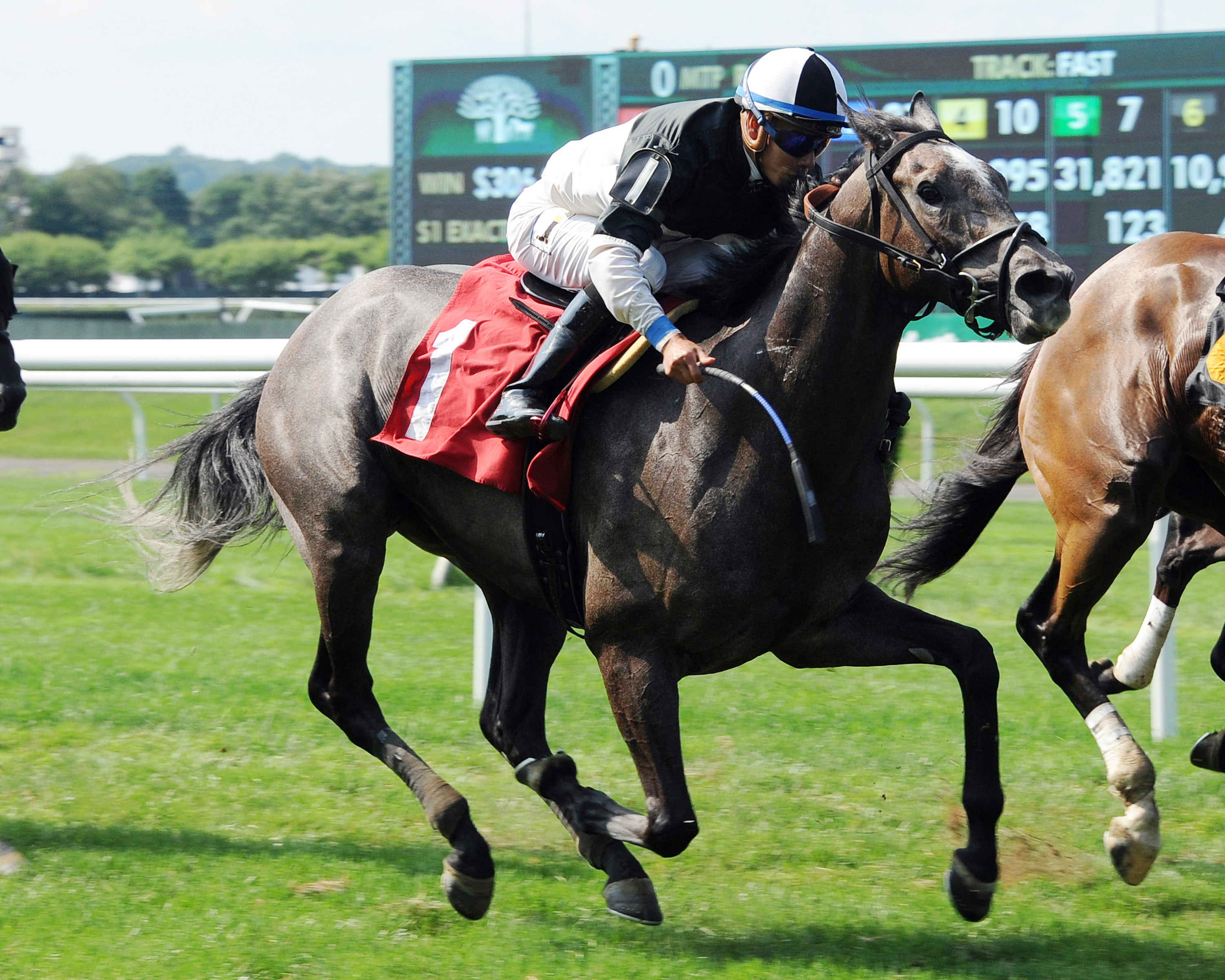 Voodoo Song in a May 28, 2017 allowance race