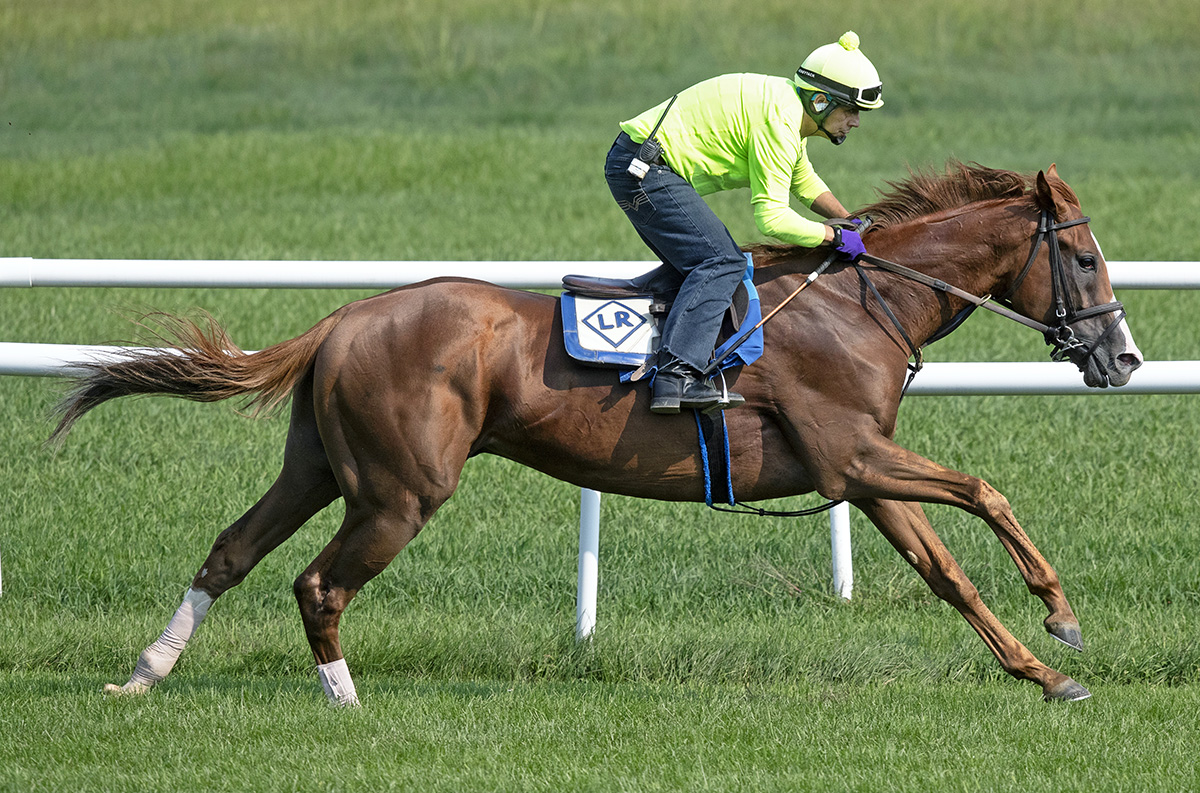 Voodoo Song trains at Saratoga on Aug. 24