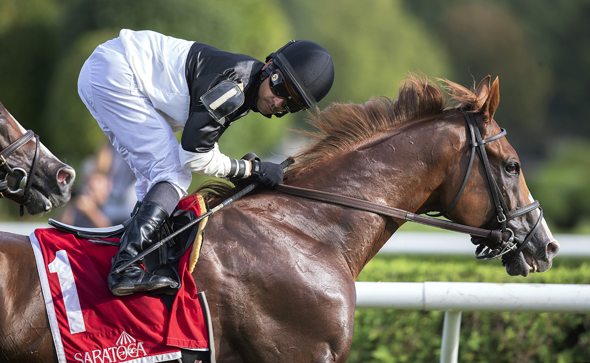 Voodoo Song finishes fifth in the Bernard Baruch