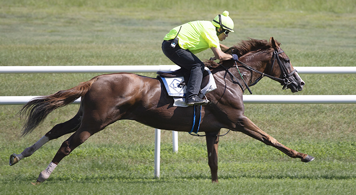 Voodoo Song trains at Saratoga Race Course on July 21