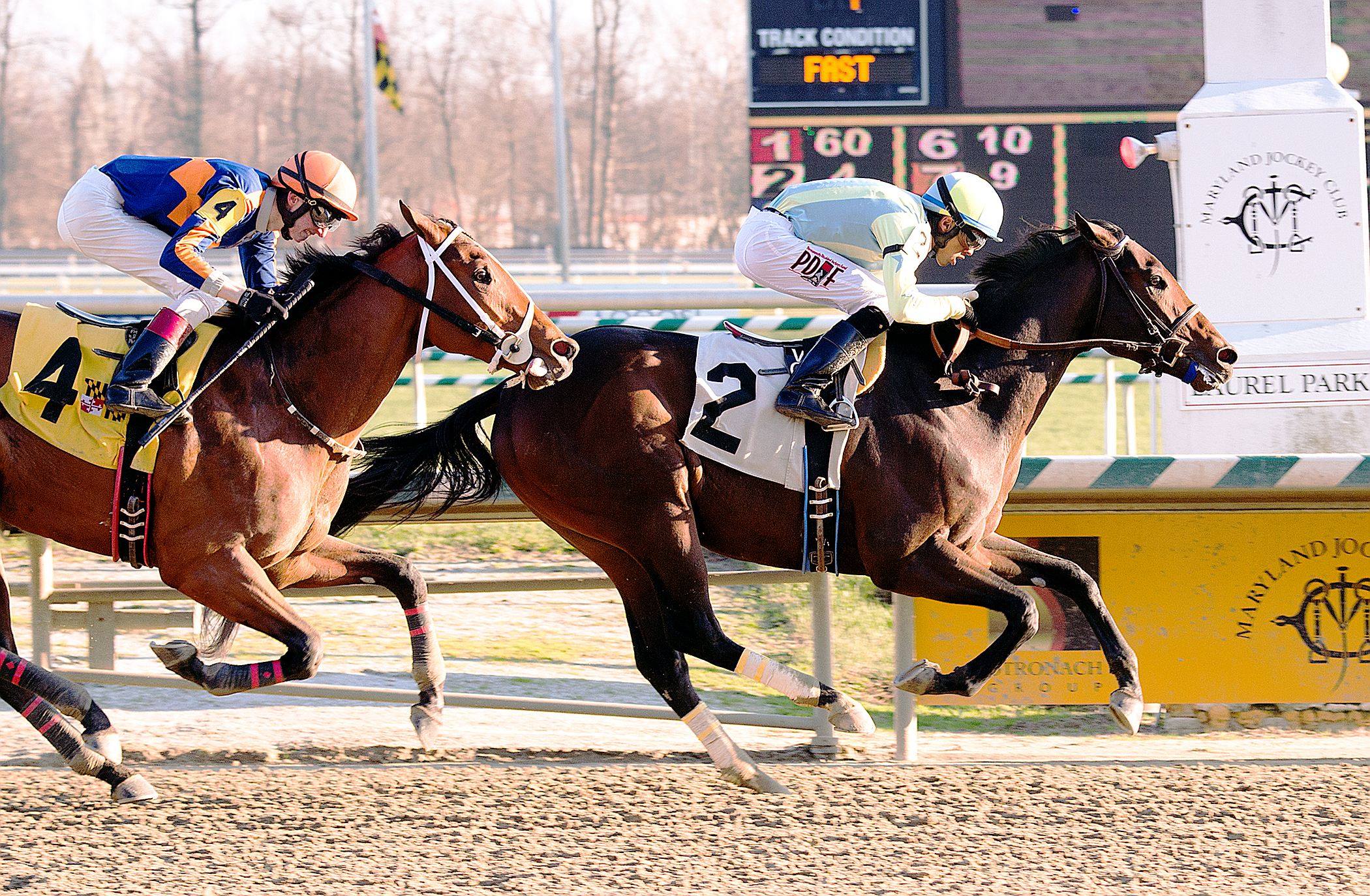 Vorticity wins the Marylander Stakes