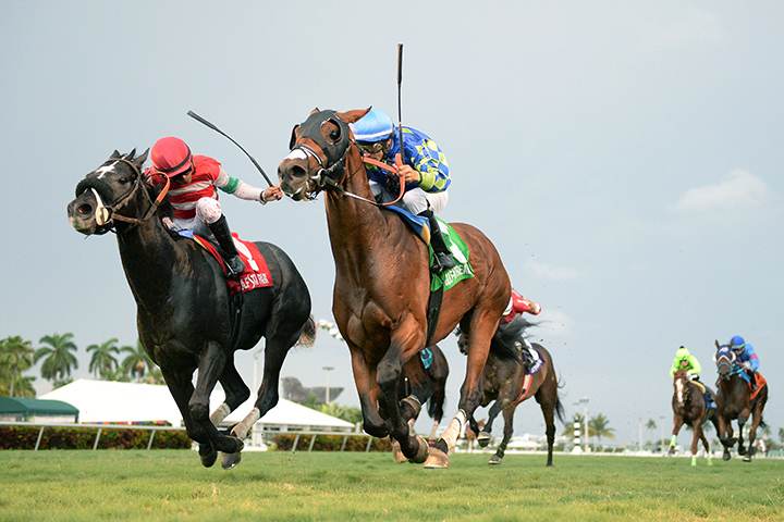 Vow Me Now wins the 2019 English Channel