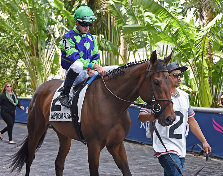 Vow to Recover at Gulfstream Park in March 2019