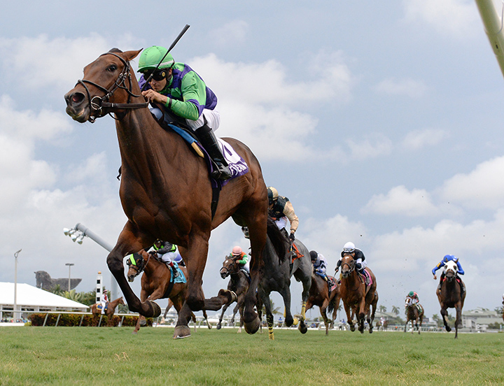 Vow to Recover wins the 2019 Honey Ryder