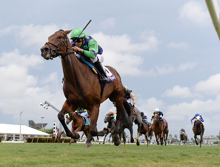 Vow to Recover wins the 2019 Honey Ryder Stakes at Gulfstream Park