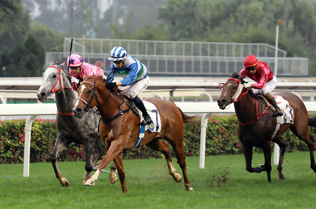Voyage Warrior (No. 7) wins the 2020 Sprint Cup at Sha Tin Racecourse