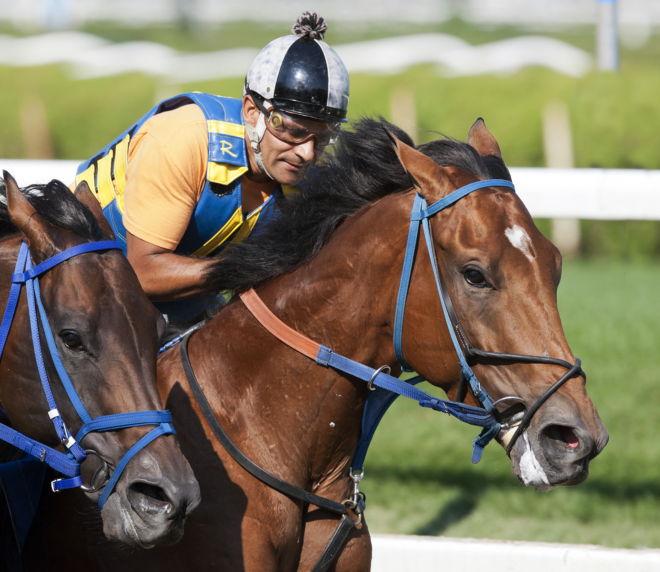 Vyjack, Rudy Rodriguez