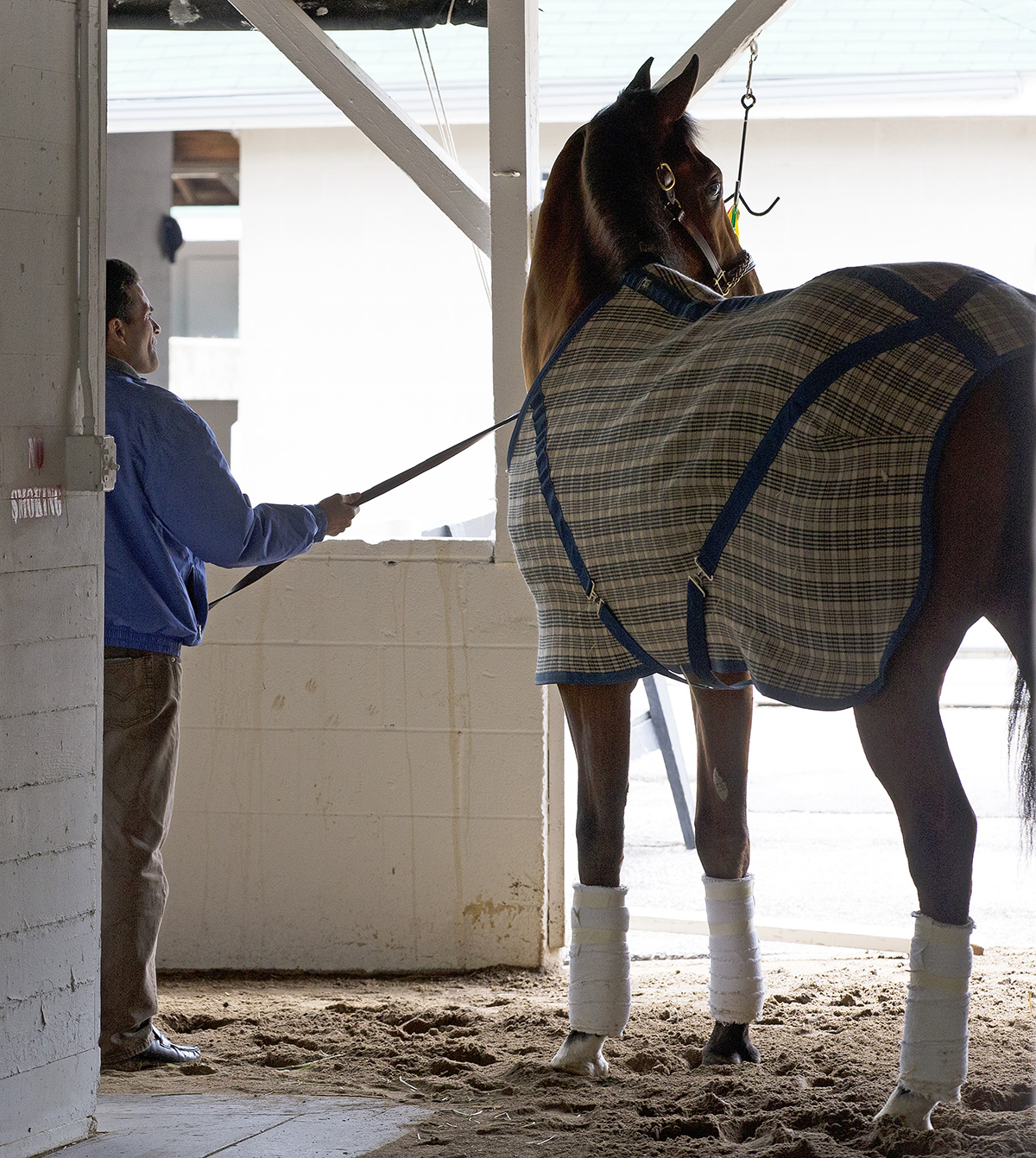 Vyjack with trainer Rudy Rodriguez