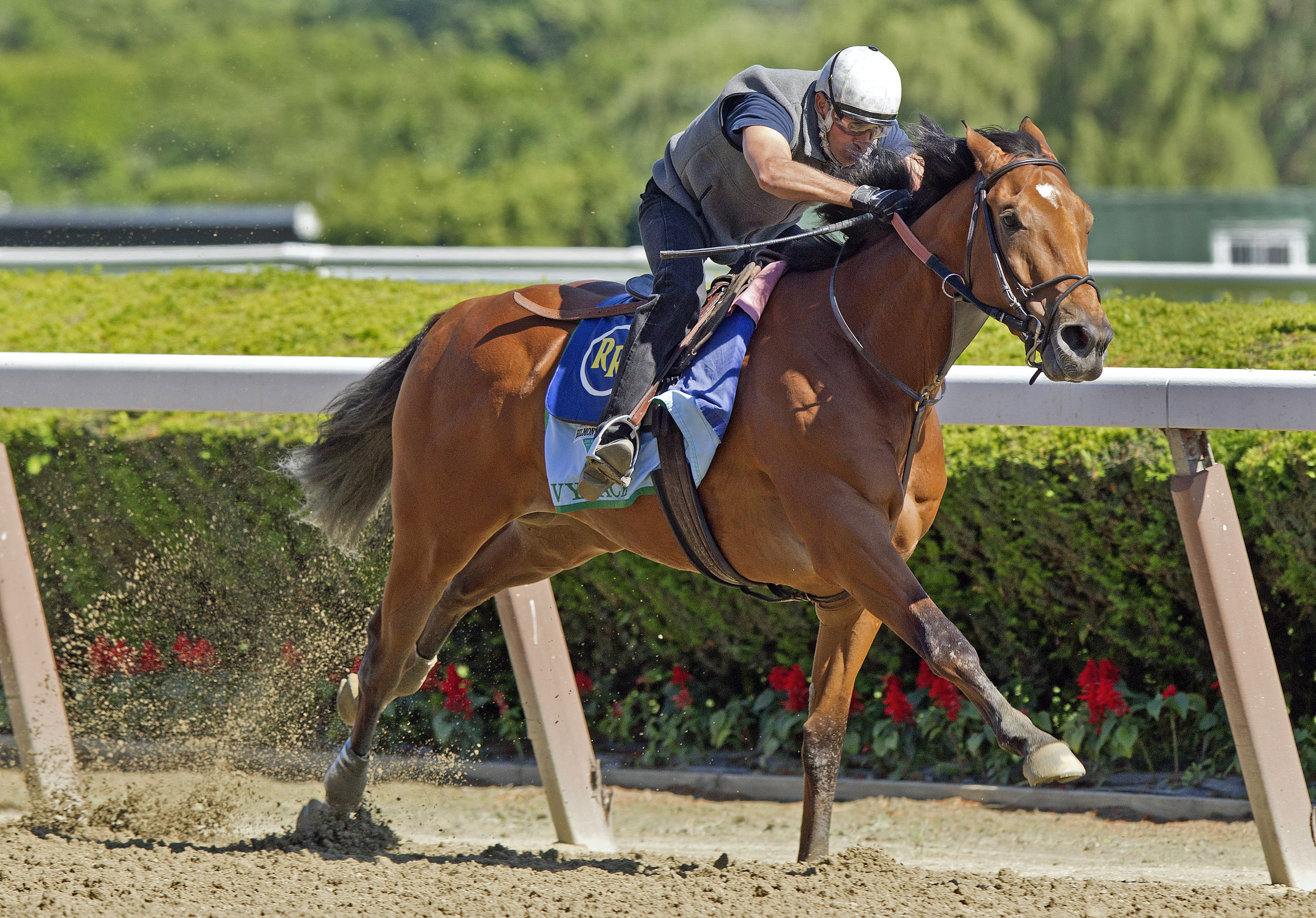 Vyjack with trainer Rudy Rodriguez