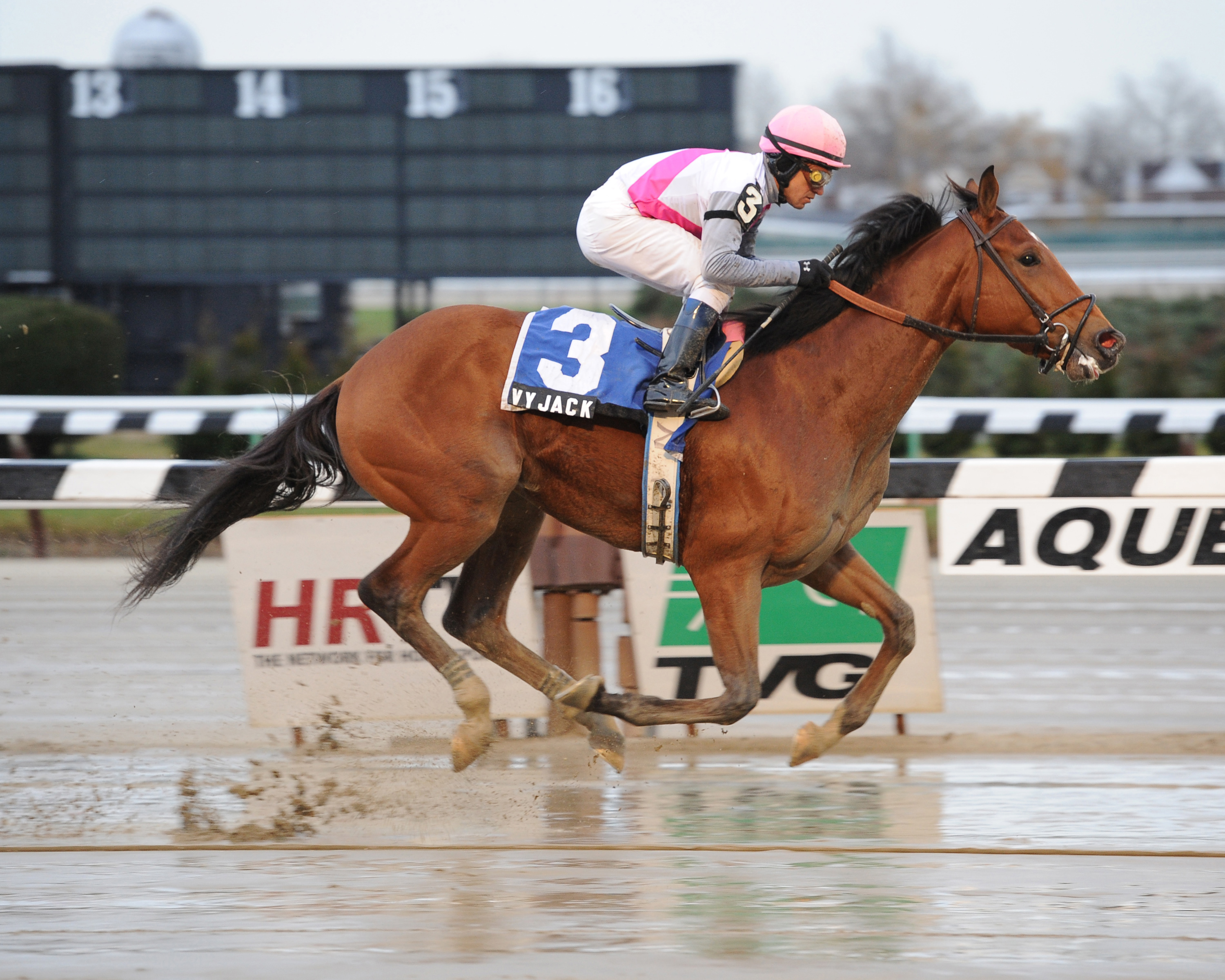 Vyjack/Traskwood Stakes