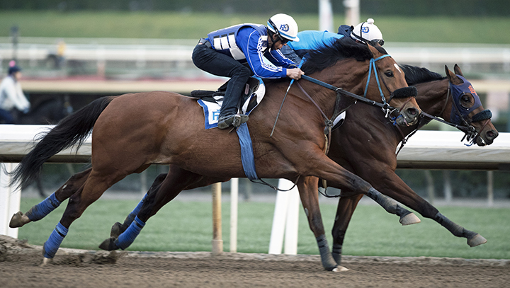 Vyjack works at Santa Anita on March 5