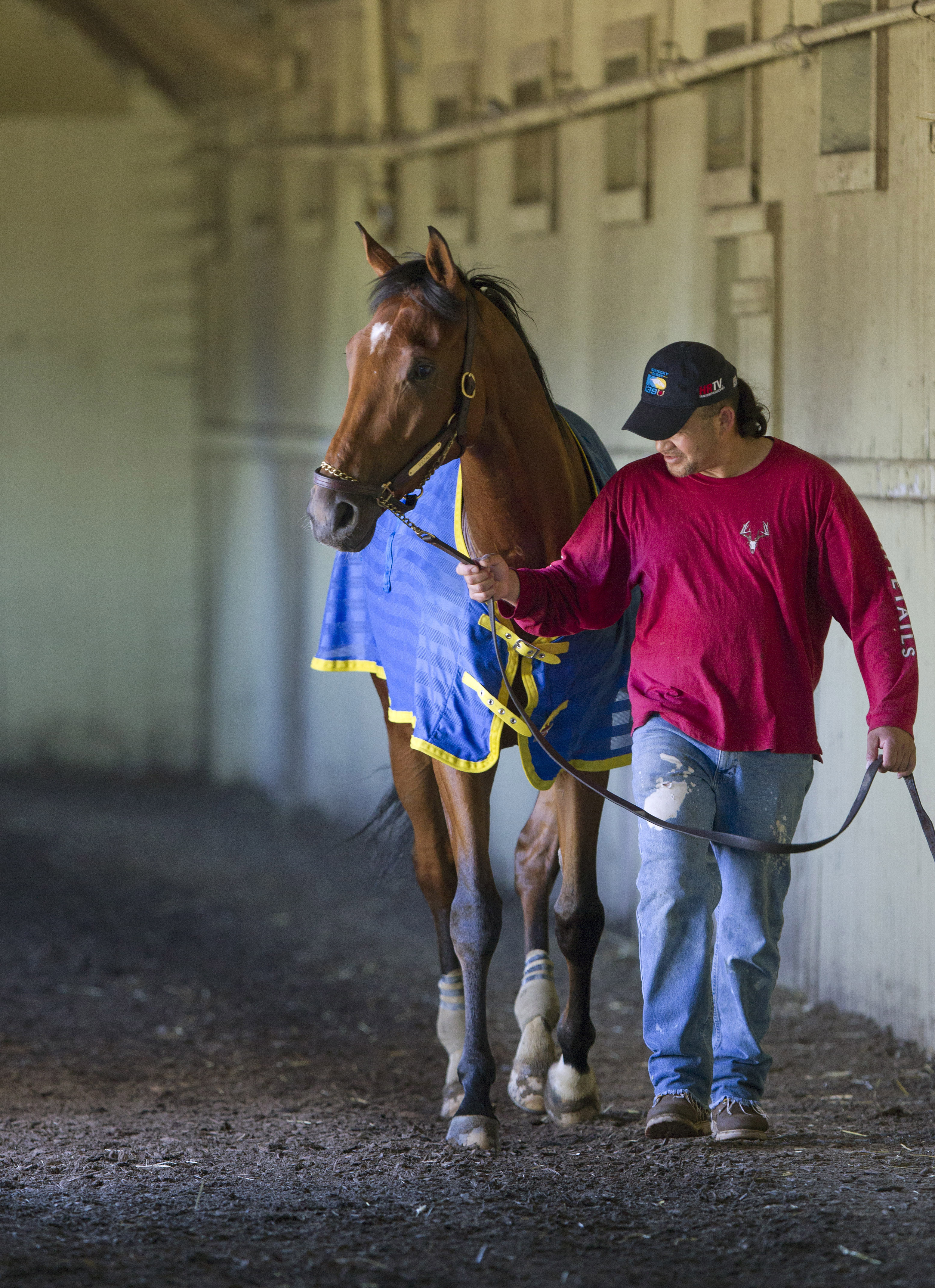 Vyjack at Belmont Park