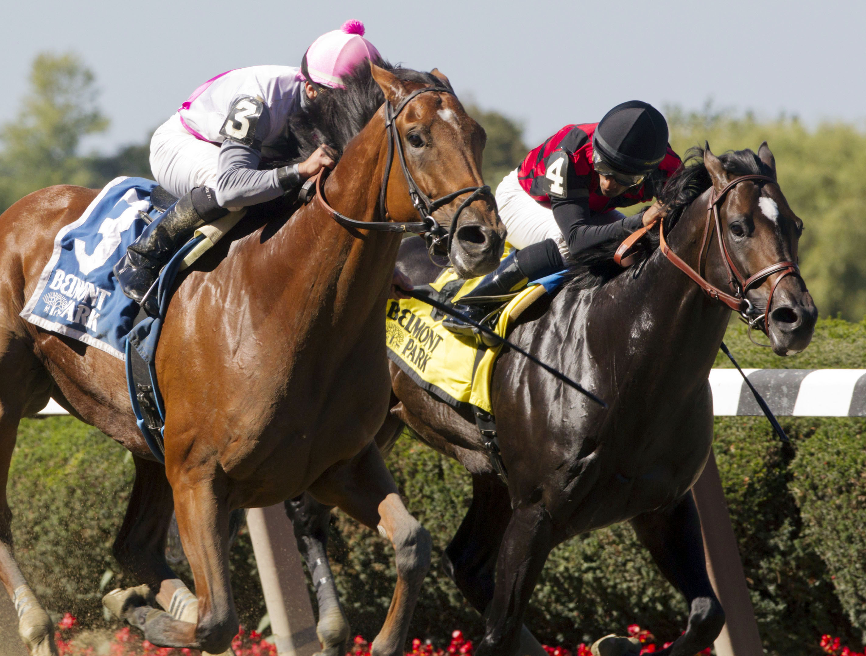 River Rocks finishes second in the Kelso Handicap
