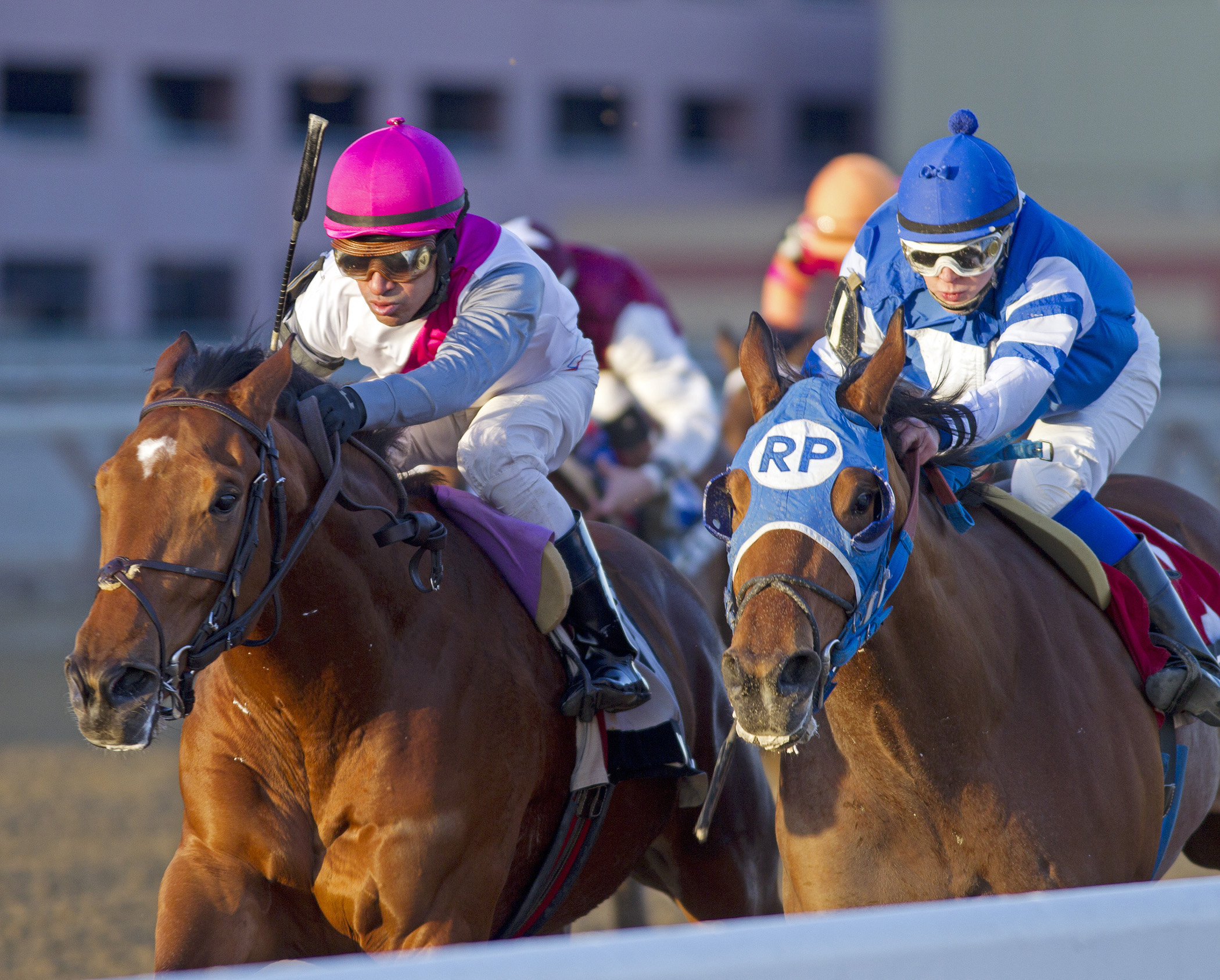 Vyjack, Jerome Stakes