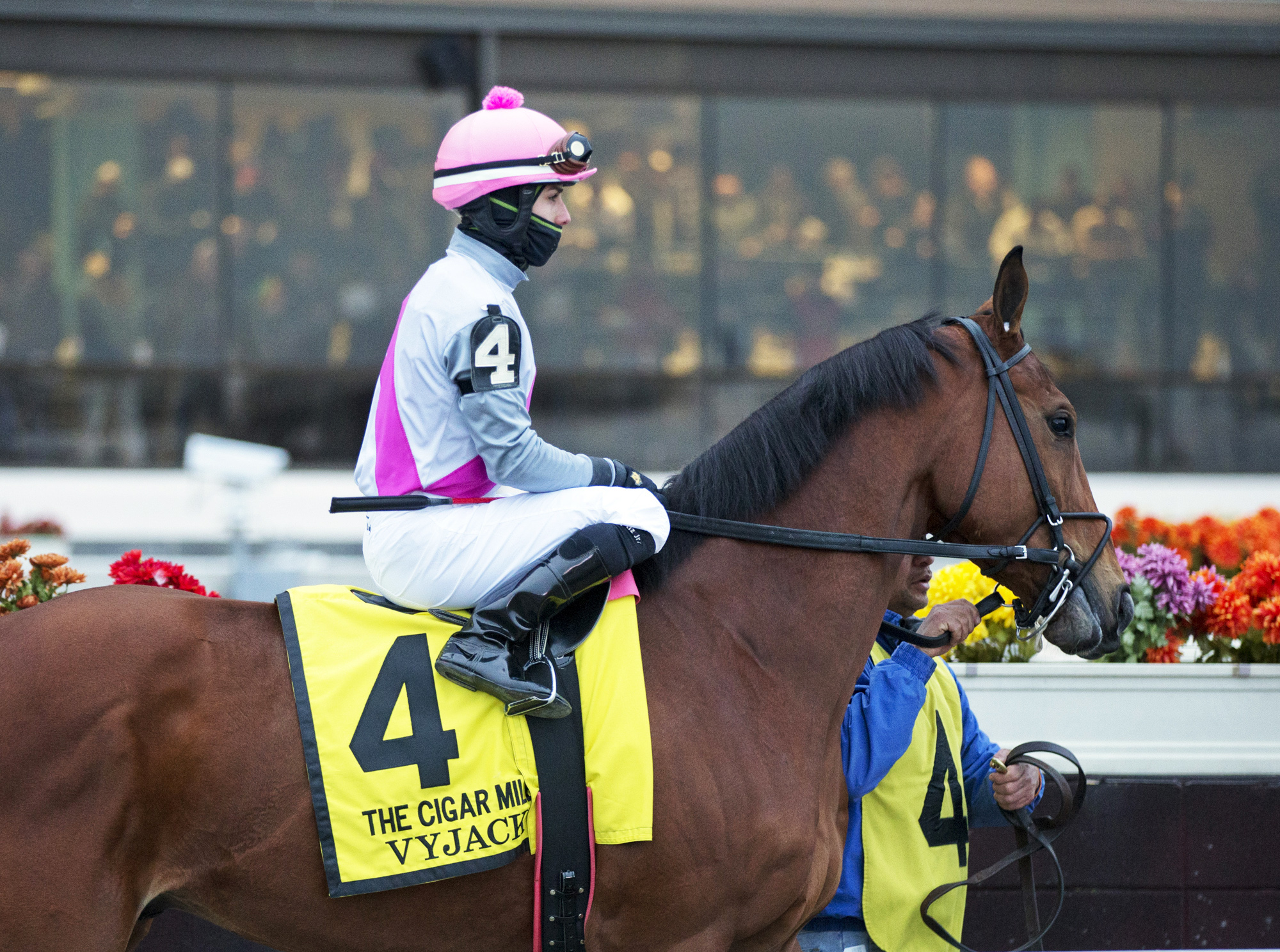 Vyjack at the Cigar Mile