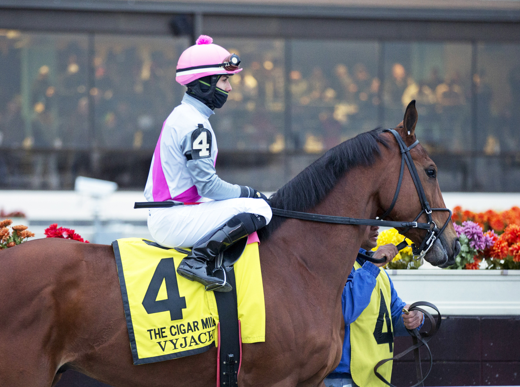 Vyjack at the Cigar Mile