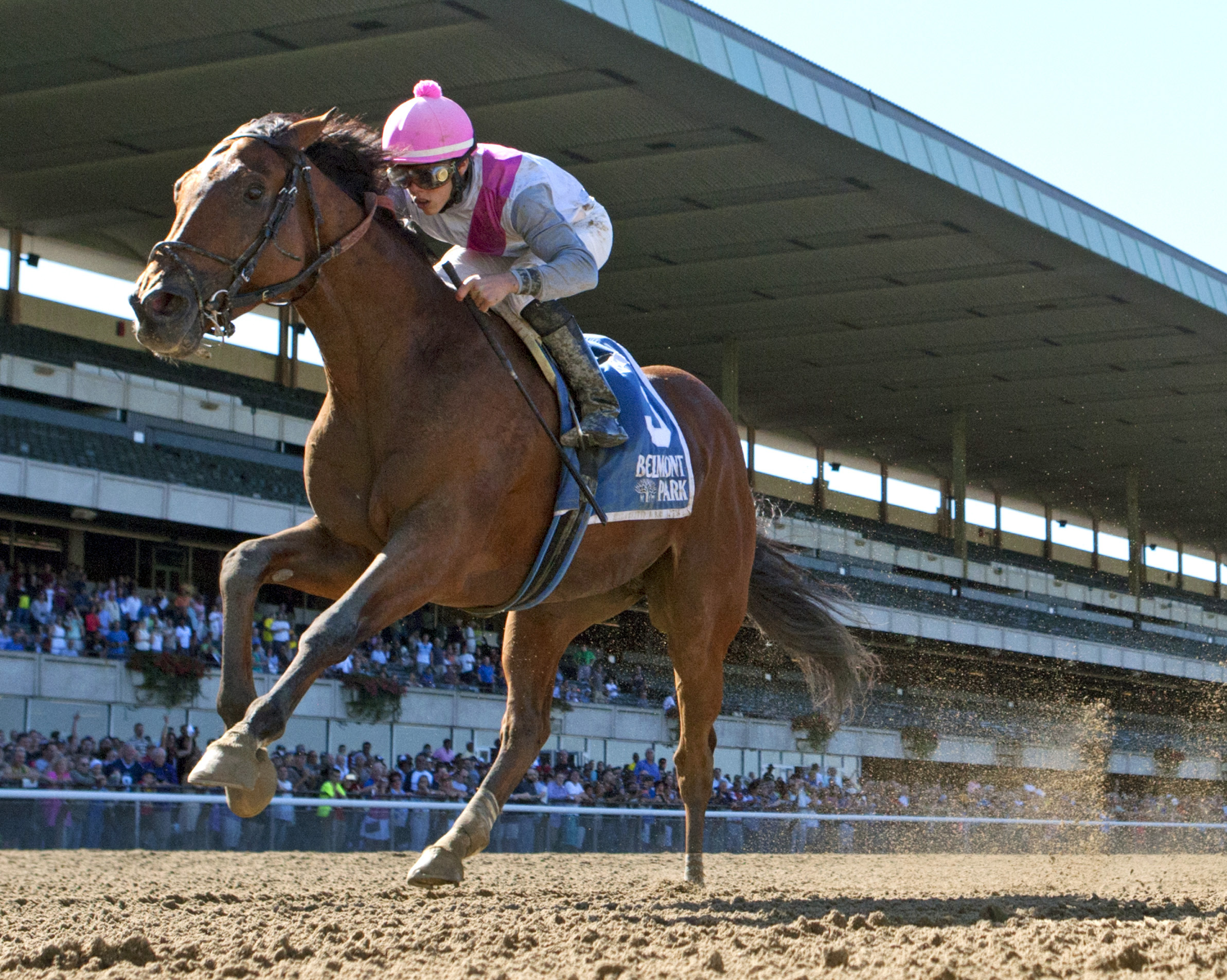 Vyjack wins the Kelso Handicap