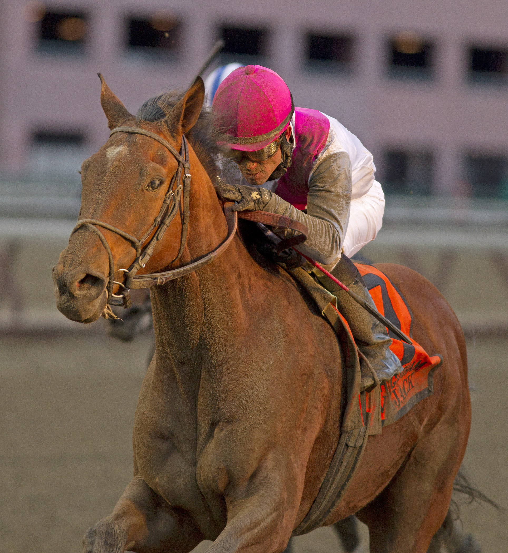 Vyjack, Gotham Stakes