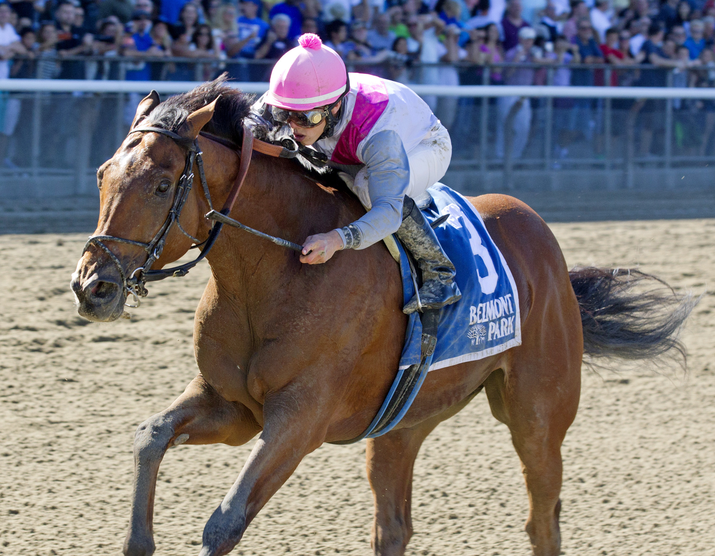 Vyjack wins the Kelso Handicap