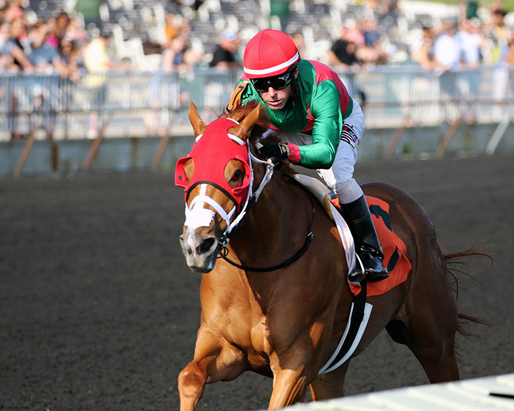 W W Fitzy wins the 2019 Sharon N. Kirby Memorial Stakes at Arlington Park