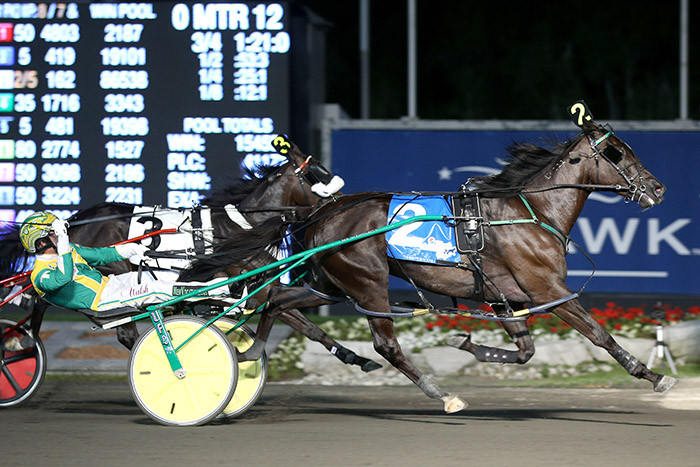 Wakizashi Hanover