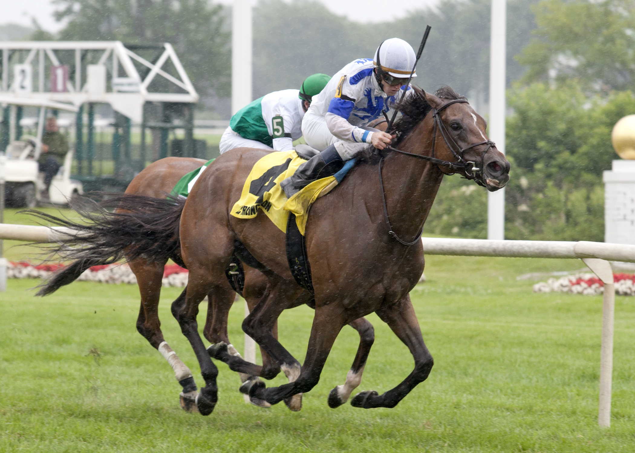 Walk Close wins 2015 Modesty