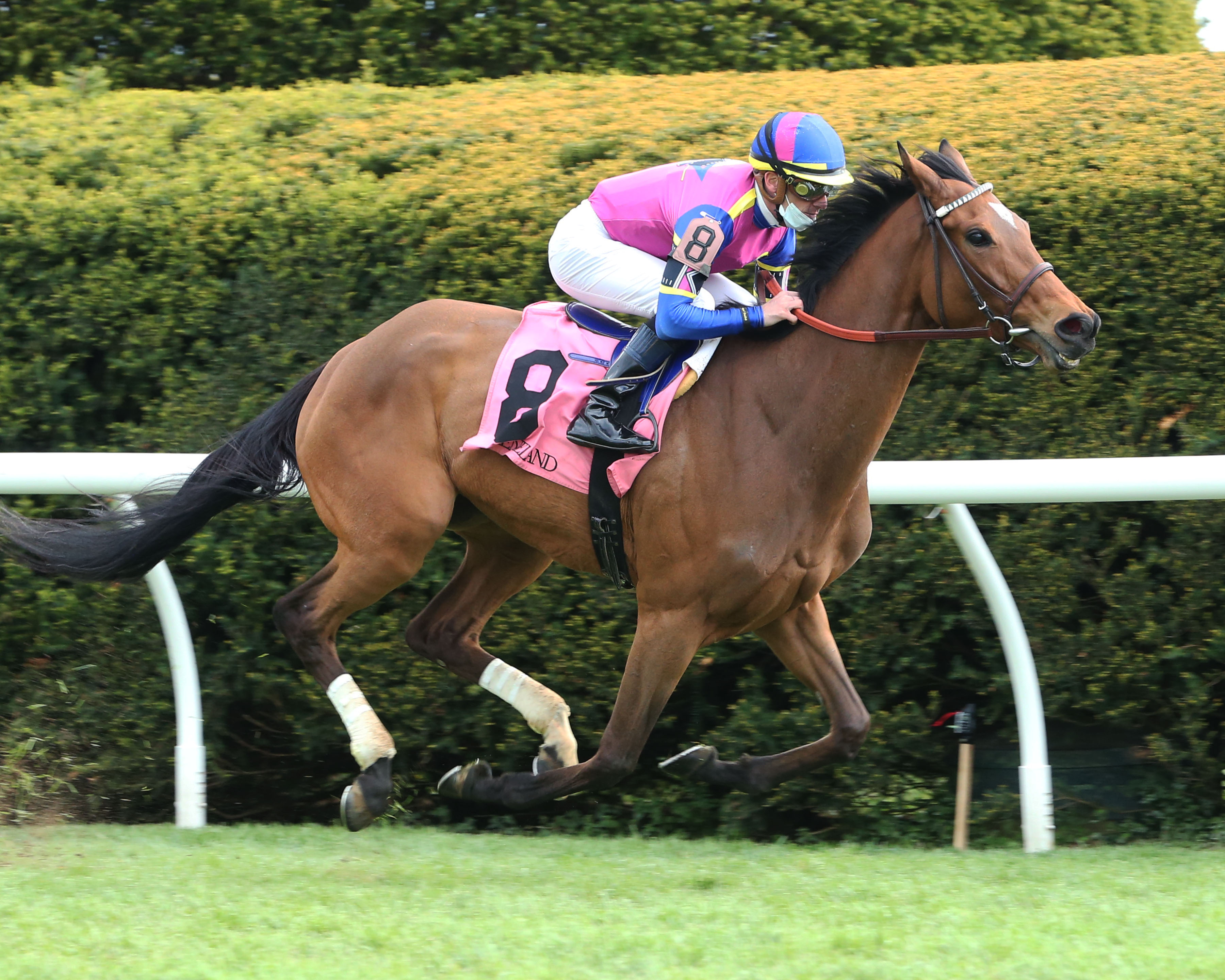 War Like Goddess - Bewitch G3 2021