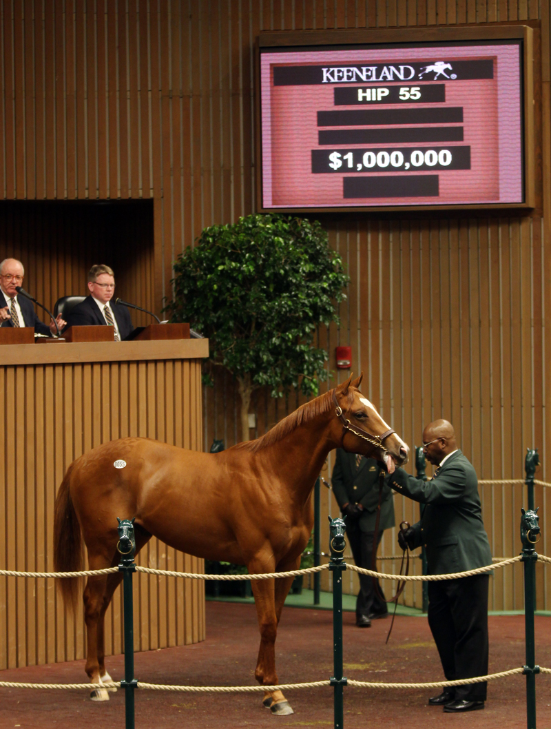 Malibu Moon colt at Keeneland April 2014
