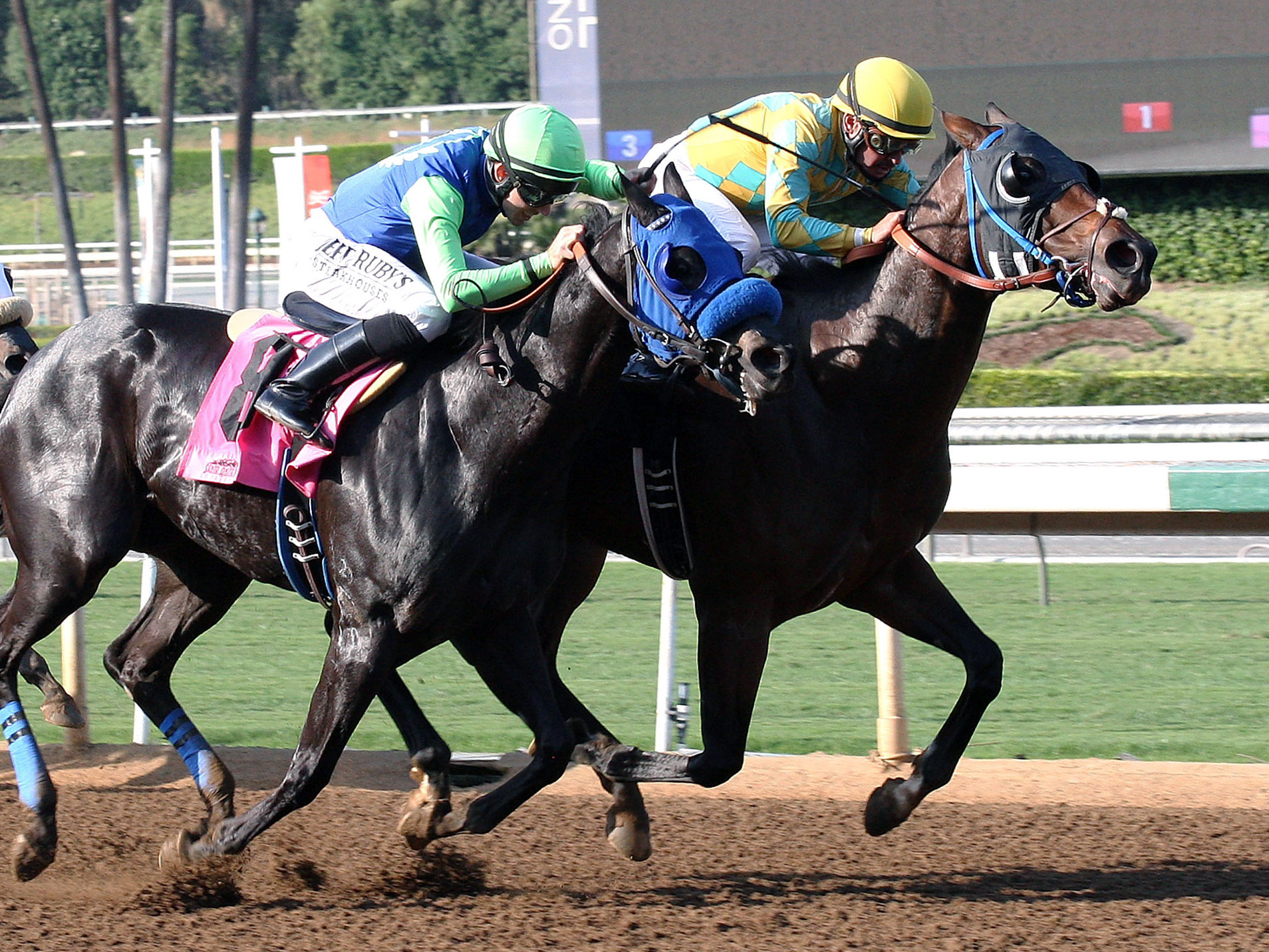 Air of Royalty wins a claiming race