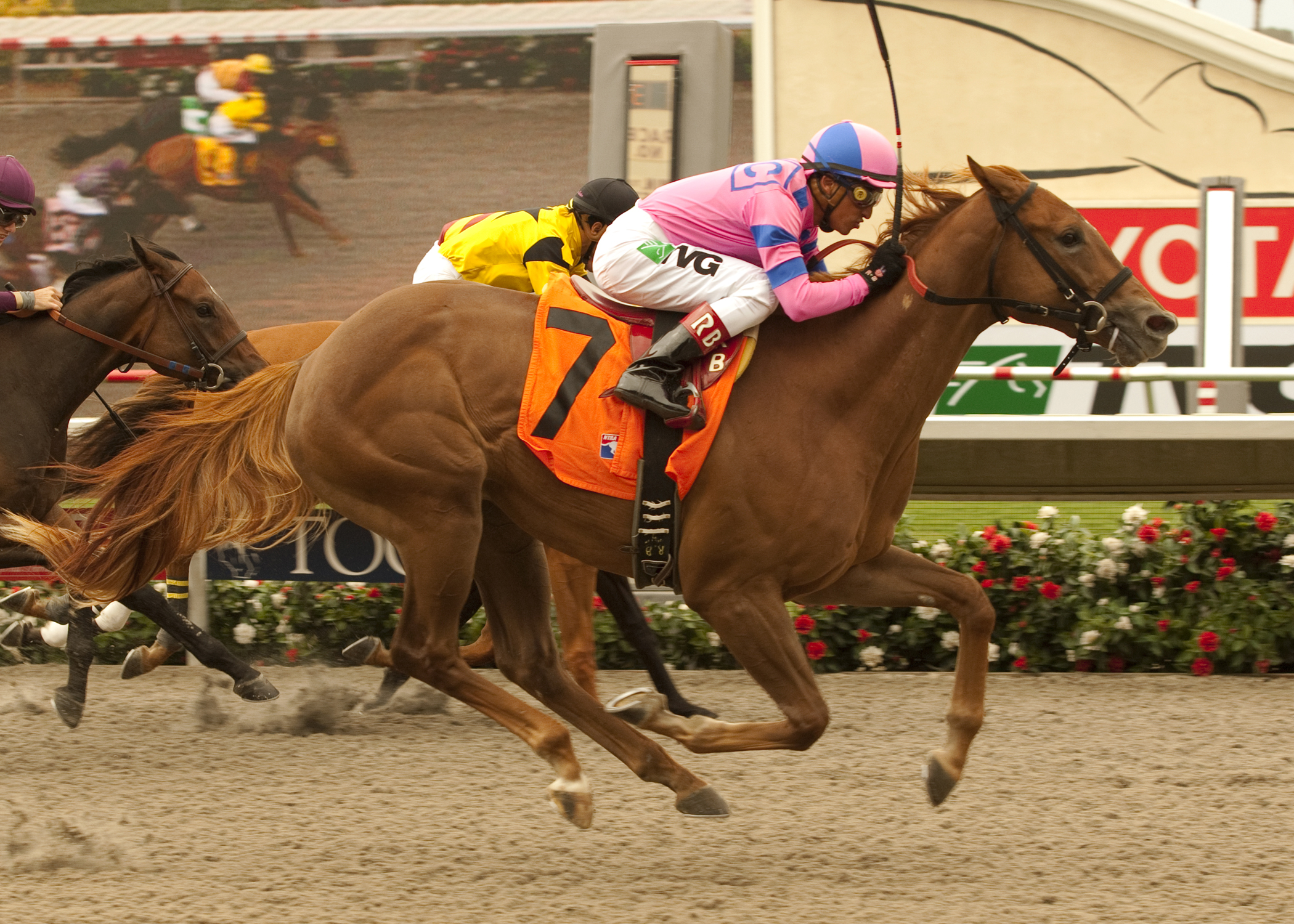 Weemissfrankie/maiden win