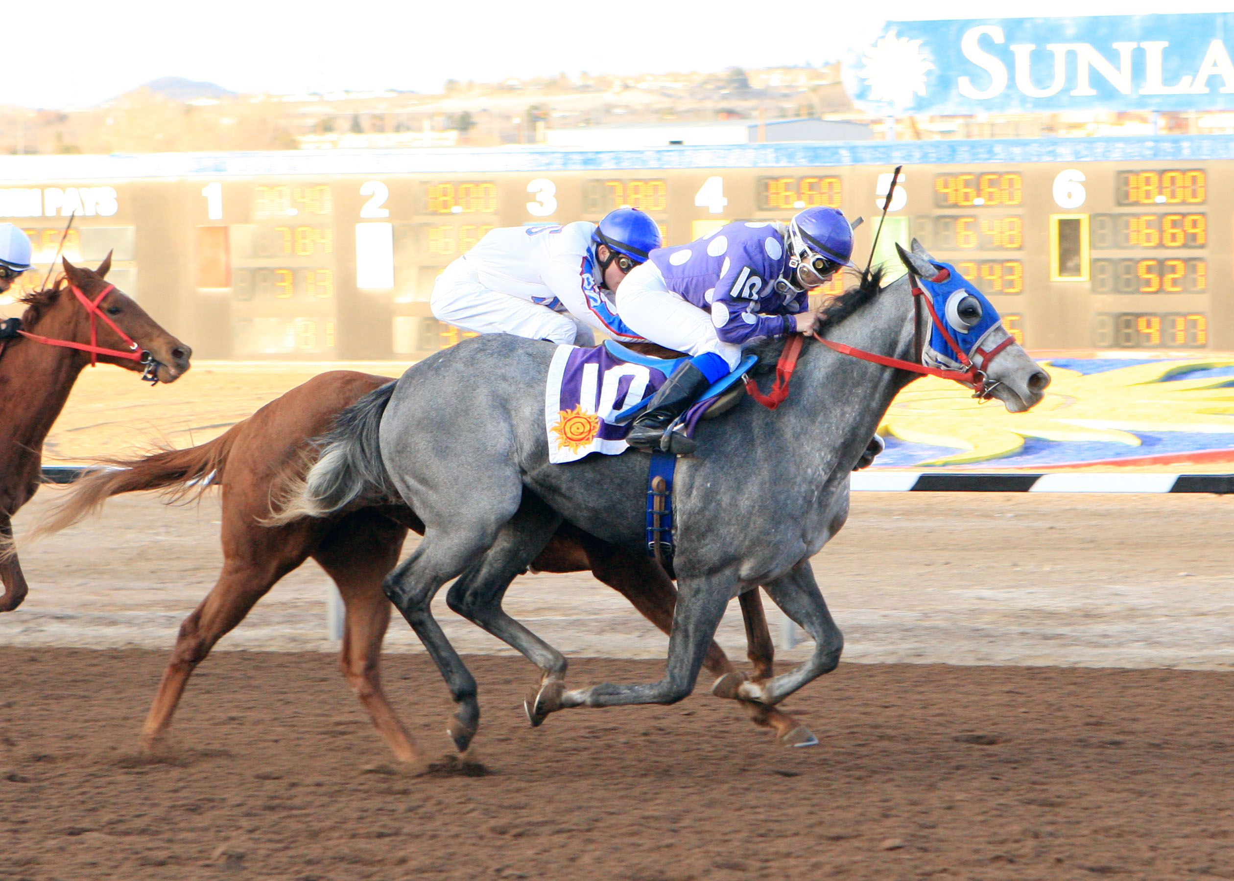 Whisper's Sister 12-18-2011