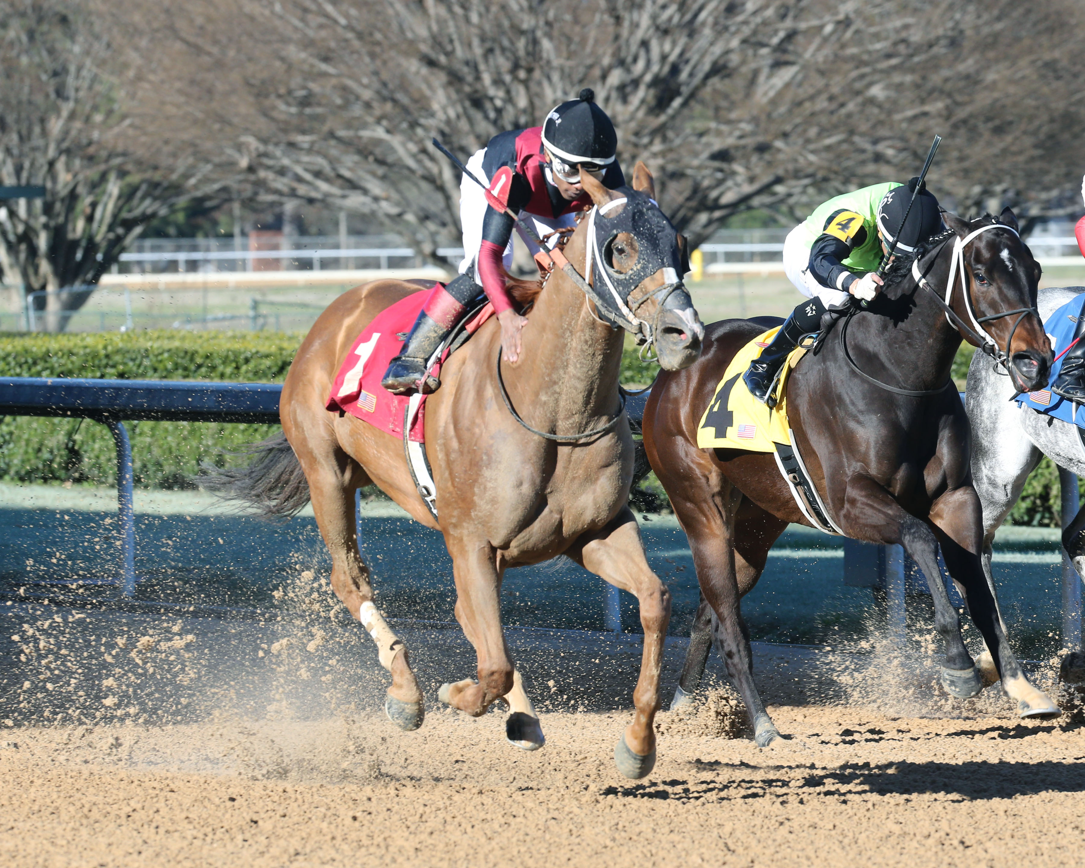 Whitmore wins the 2019 Hot Springs