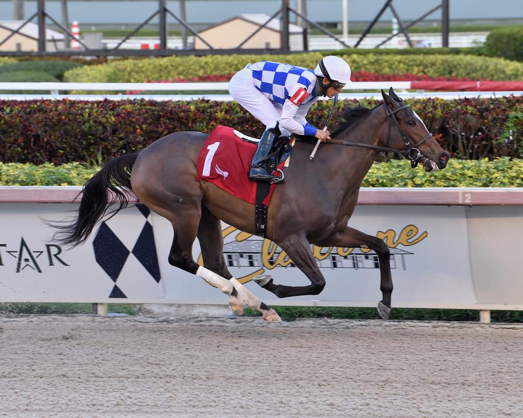 Wholebodemeister - Davona Dale S.