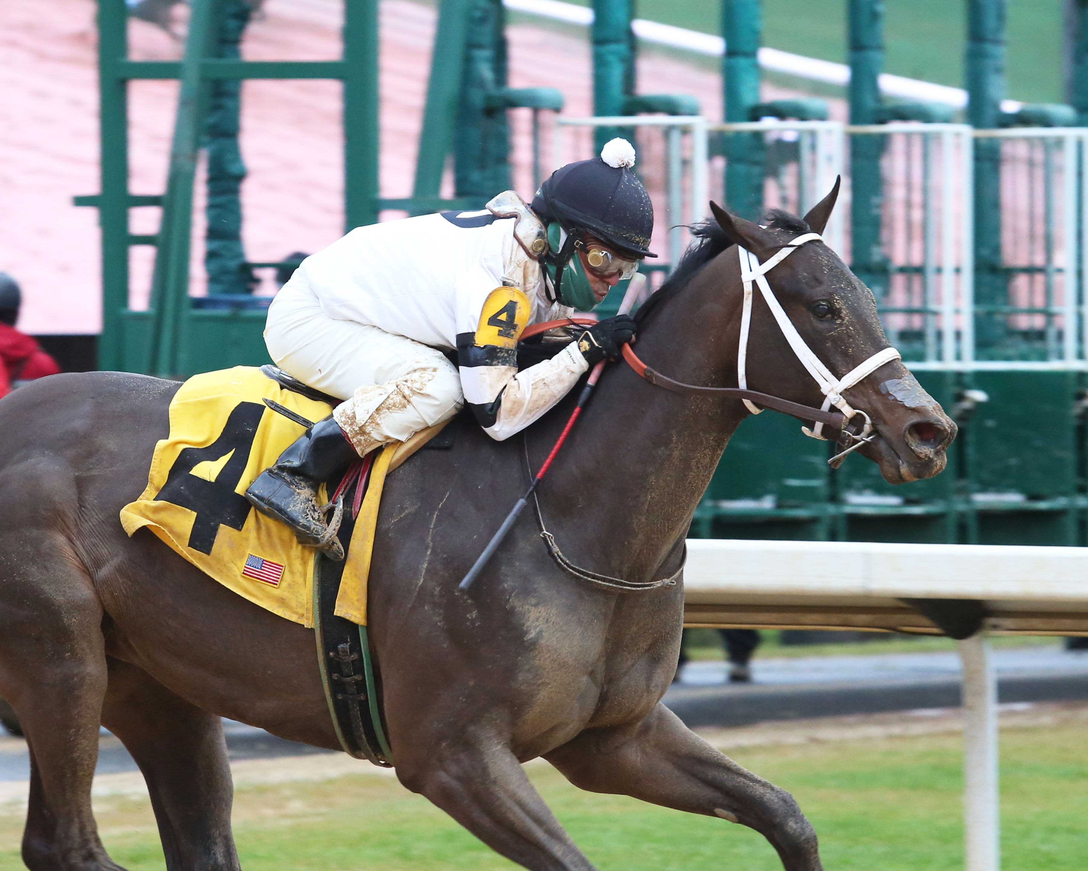 Will's Secret wins the Martha Washington 1-30-2021