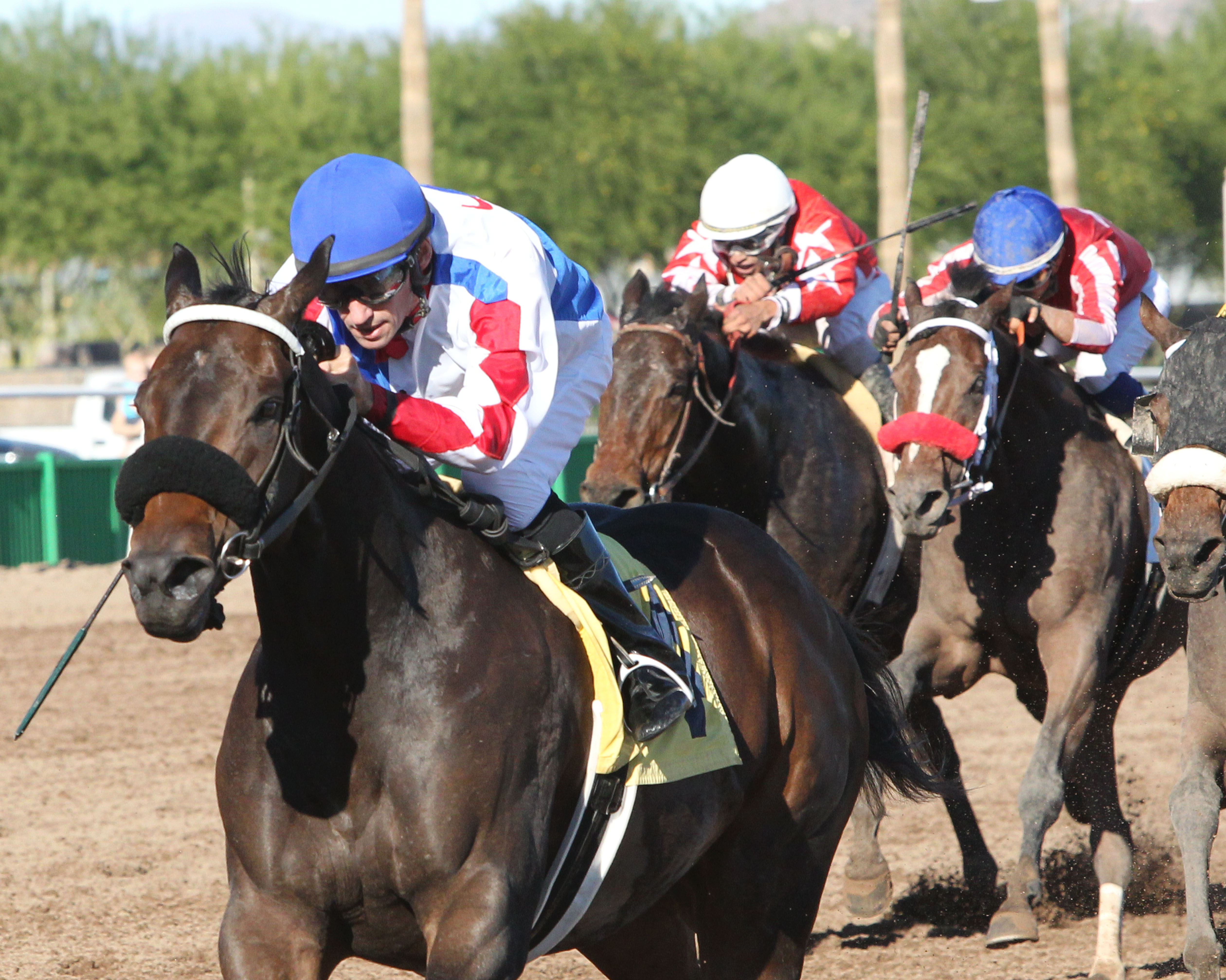 Winning Vision wins 2015 Princess of Palms