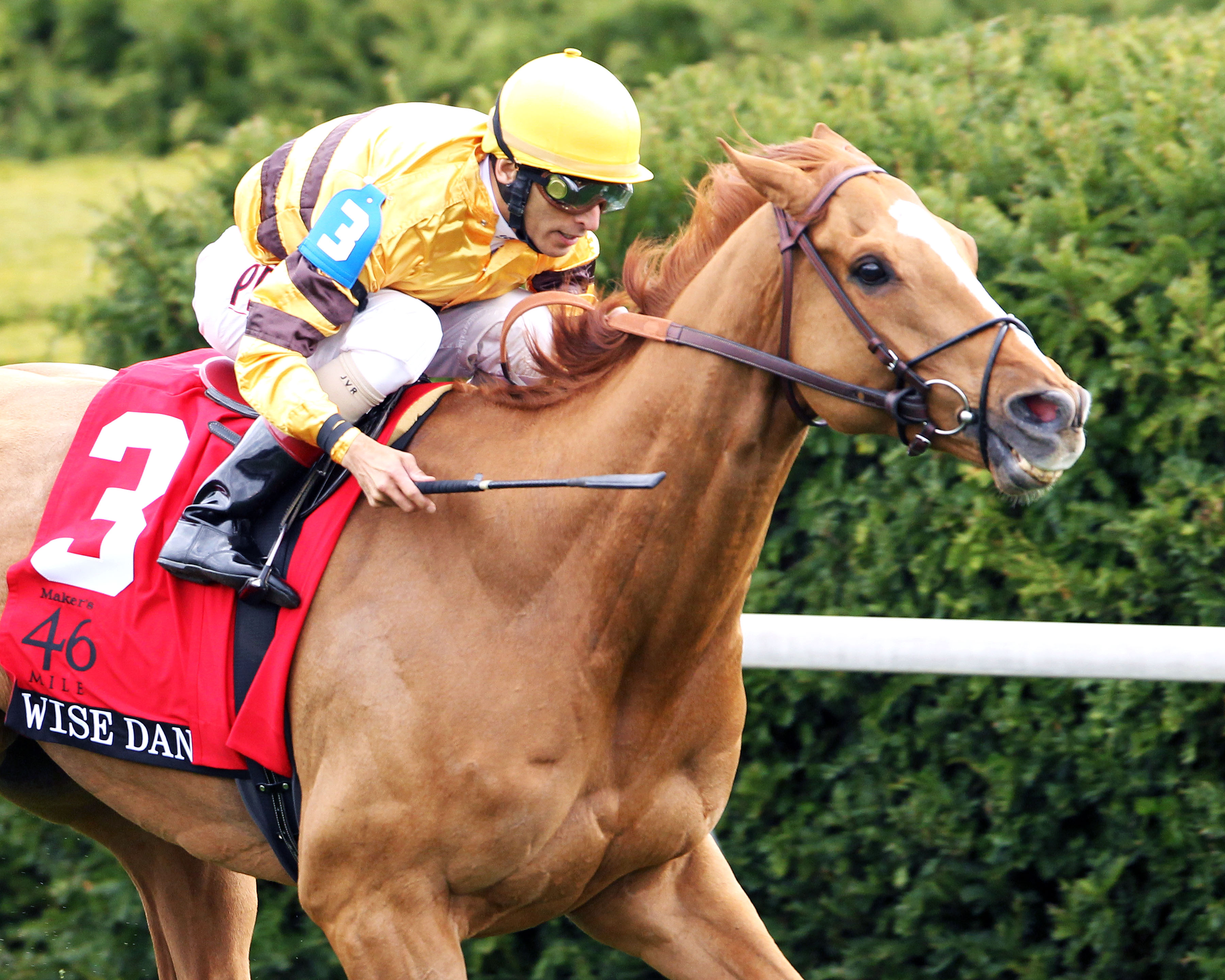 Wise Dan-2014 Maker's 46 Mile