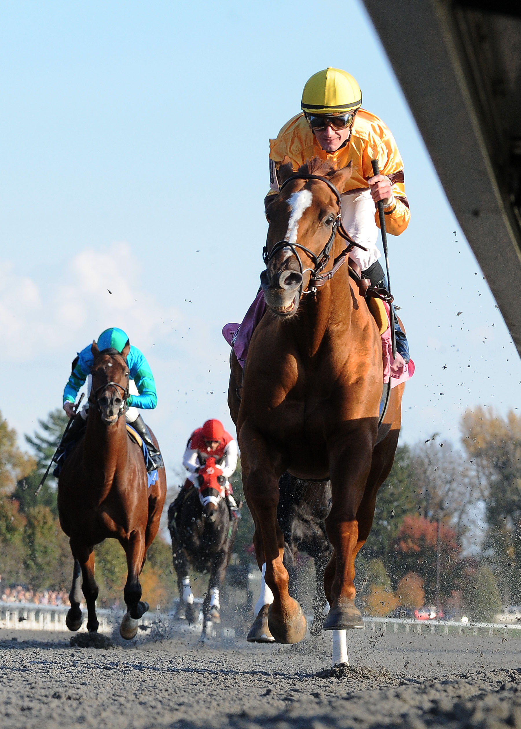 Wise Dan 10-29-2011