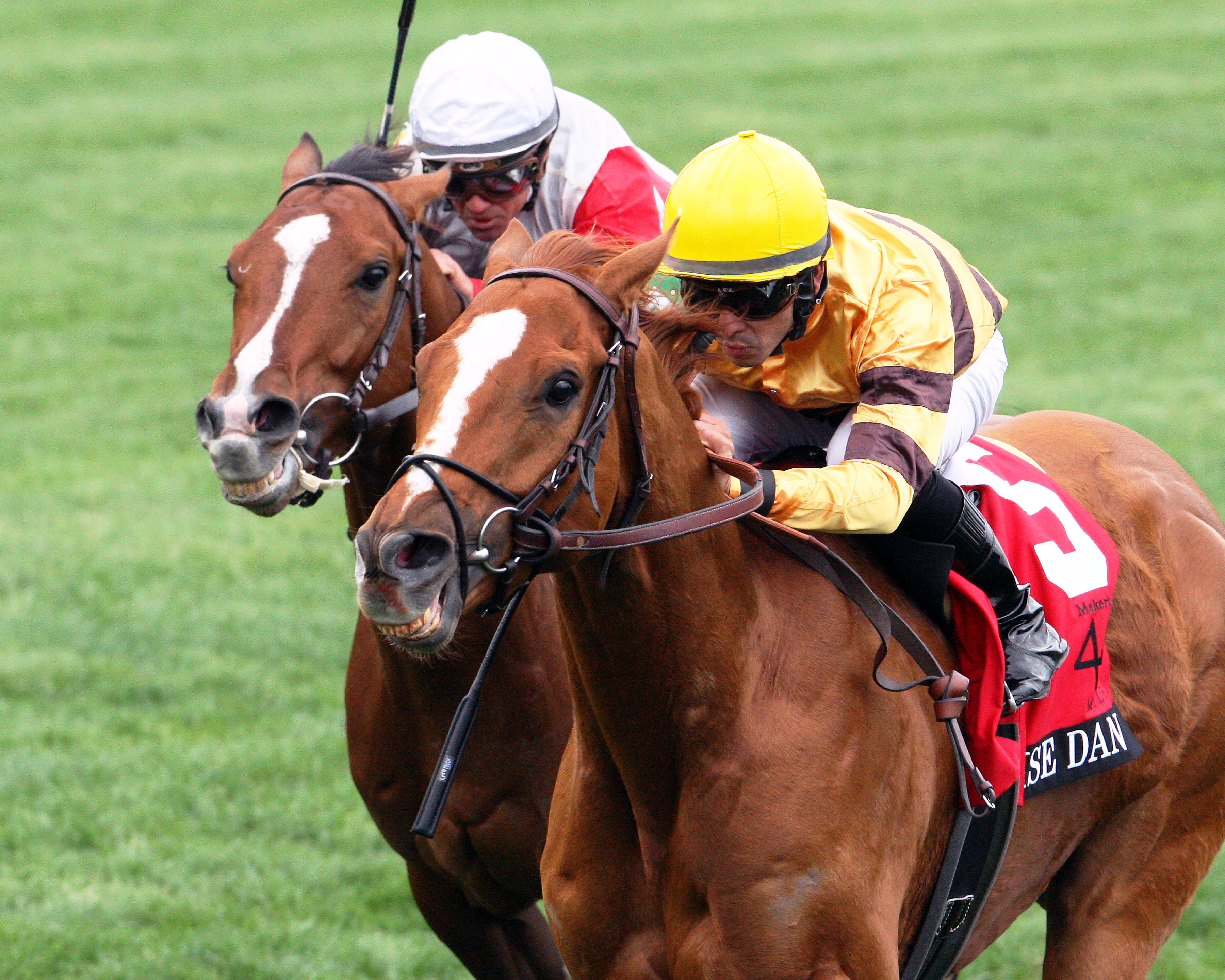 Wise Dan/Maker's 46 Mile
