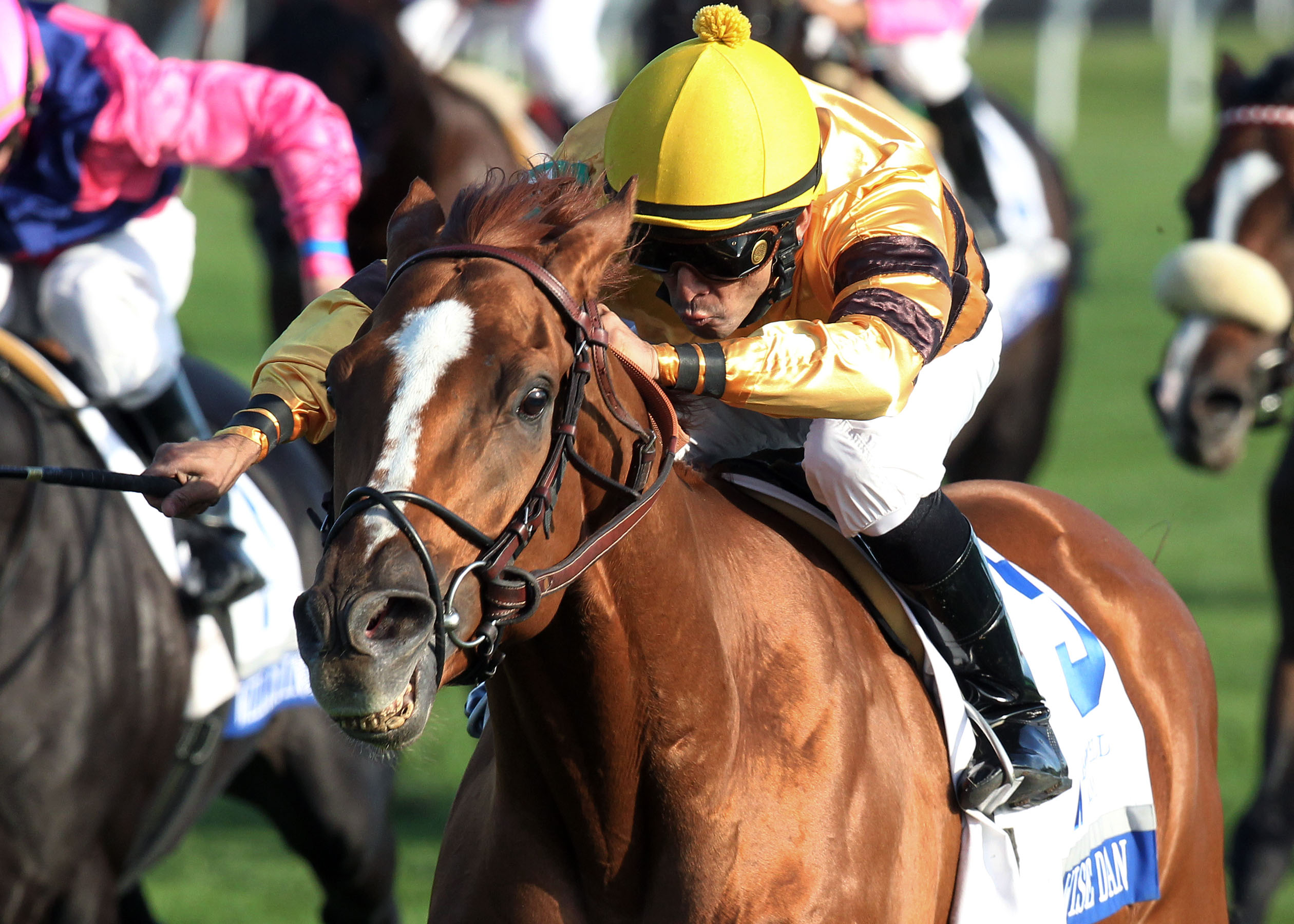 Wise Dan powers/Shadwell Turf Mile.