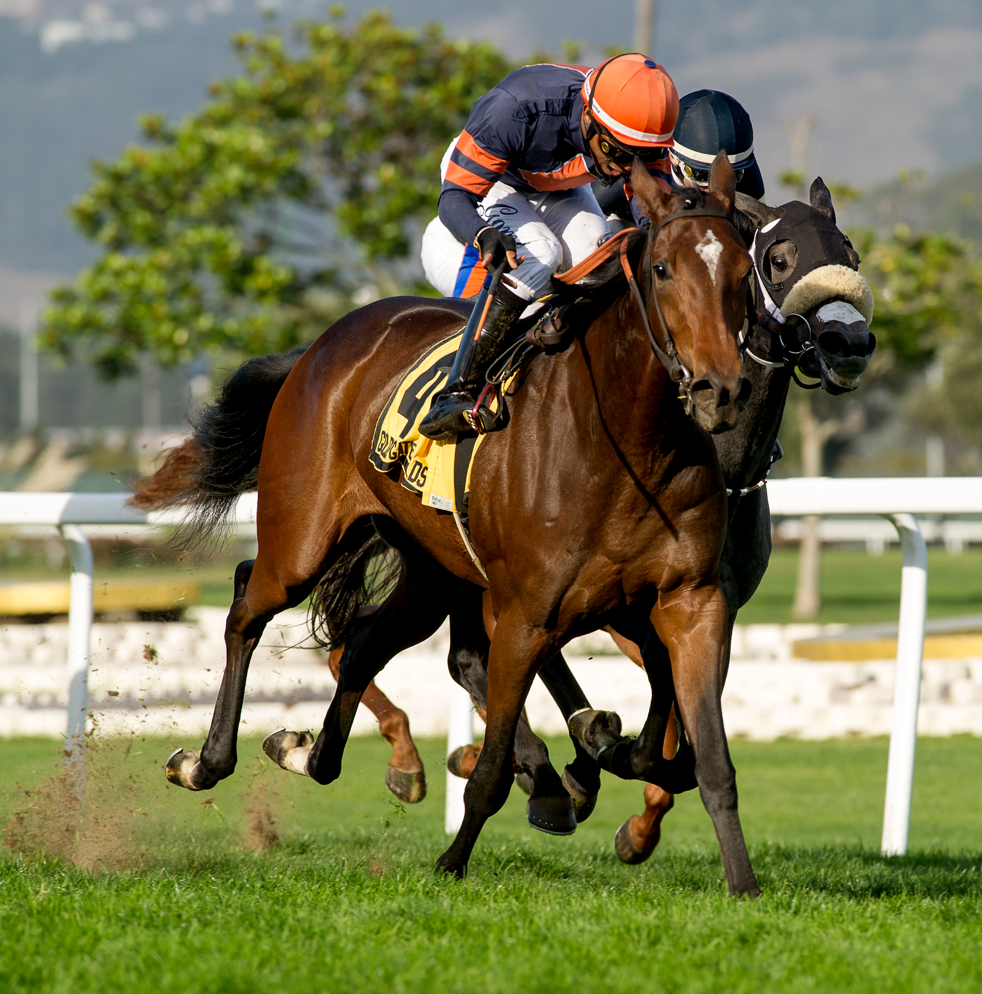 Wise Rachel (left) wins the 2019 Autumn Miss Stakes