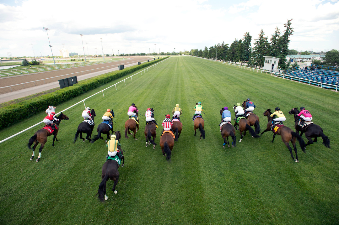 Woodbine turf racing 2020