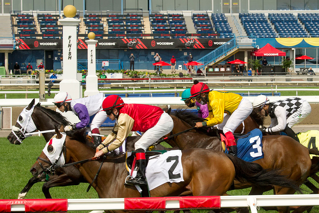 Racing at Woodbine in September 2020