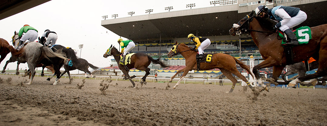 Woodine dirt race, December 2021
